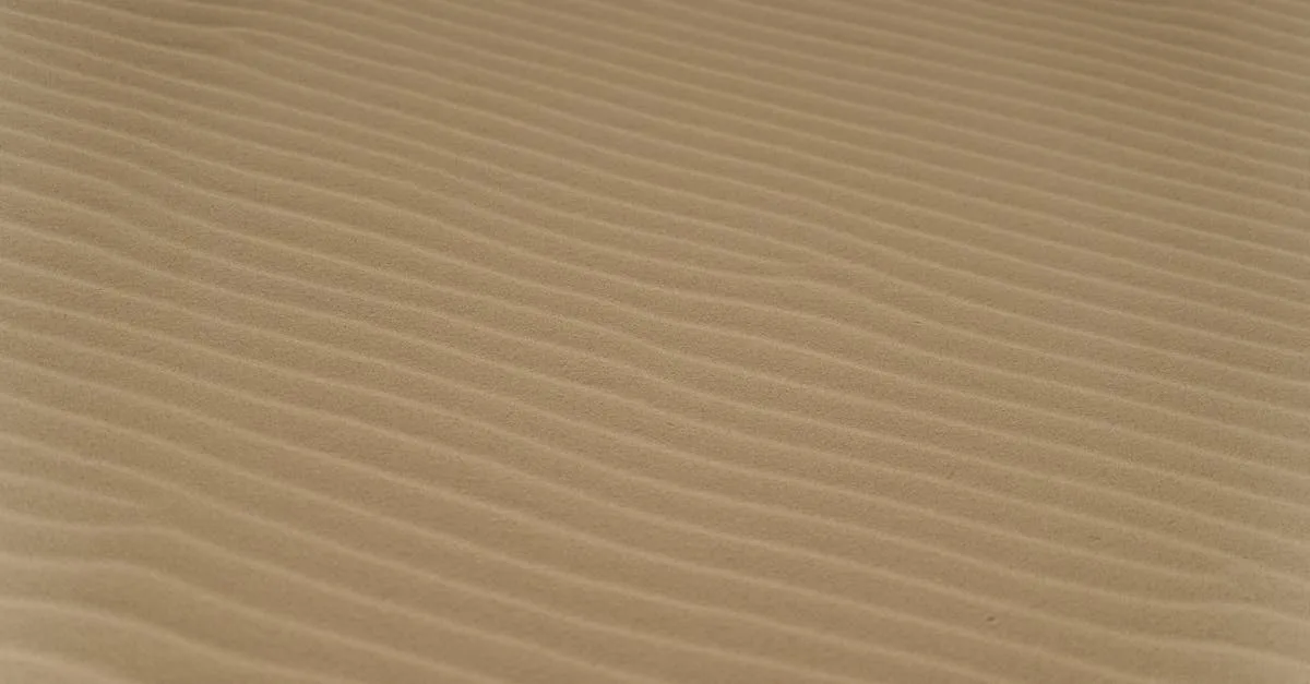 découvrez imberbited, un concept innovant qui transforme votre expérience numérique avec créativité et efficacité.