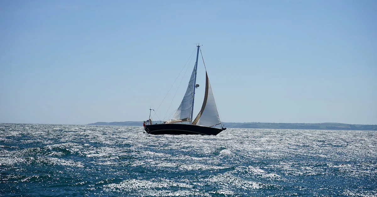 découvrez le land sailing, un sport passionnant mêlant vitesse et aventure sur terre, parfait pour les amateurs de sensations fortes et de plein air.