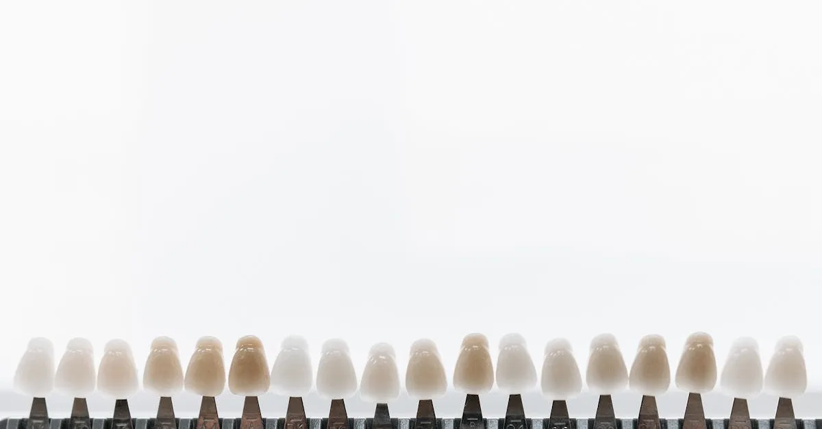 découvrez nos céramiques dentaires de haute qualité, idéales pour des restaurations durables et esthétiques en dentisterie.