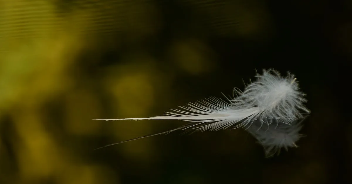 webfeather : votre solution légère et efficace pour la création de sites web modernes et performants. découvrez des outils innovants pour un développement simplifié.