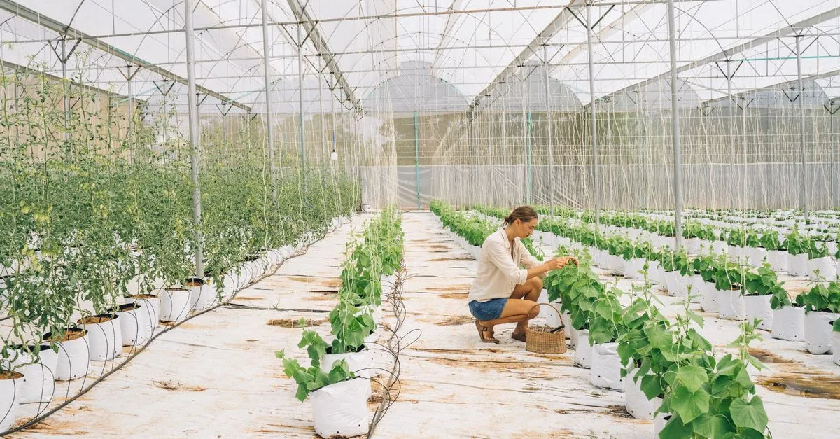 découvrez l'agriculture écologique innovante, une approche durable alliant technologie avancée et respect de l'environnement pour un avenir plus vert et responsable.
