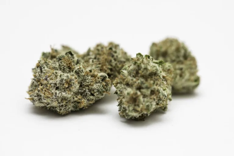 Ce que révèle l’odeur d’une fleur de CBD de qualité