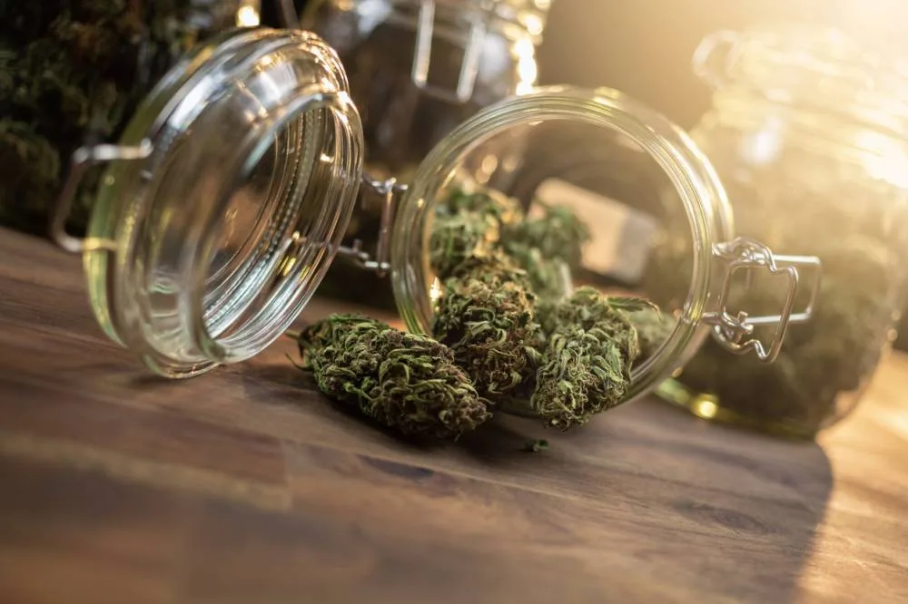 parfum fleur de CBD de qualité