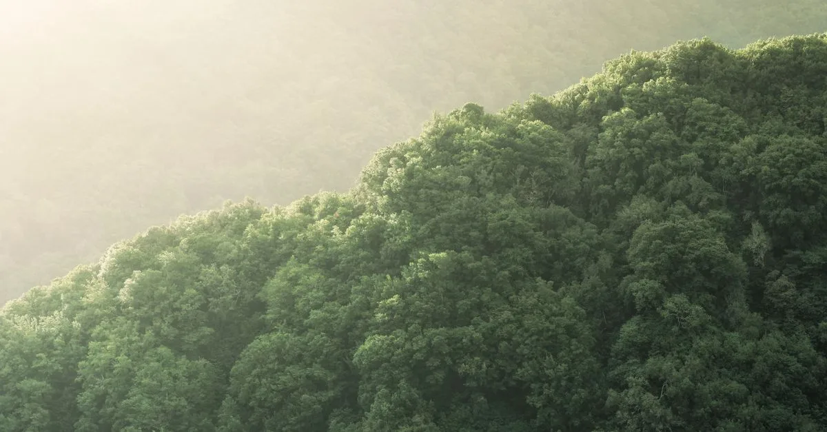 découvrez les réglementations environnementales essentielles pour protéger la planète, assurer la conformité et promouvoir un développement durable responsable.