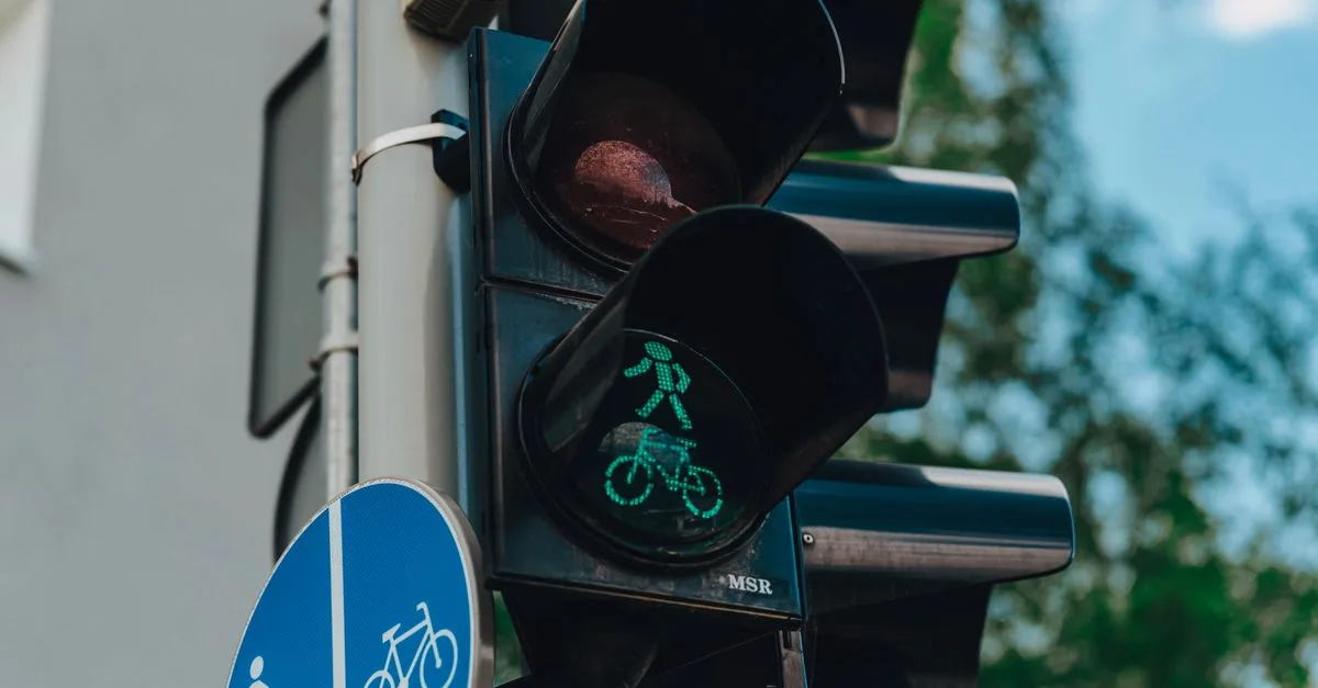 découvrez les réglementations environnementales essentielles pour protéger notre planète et assurer un développement durable.