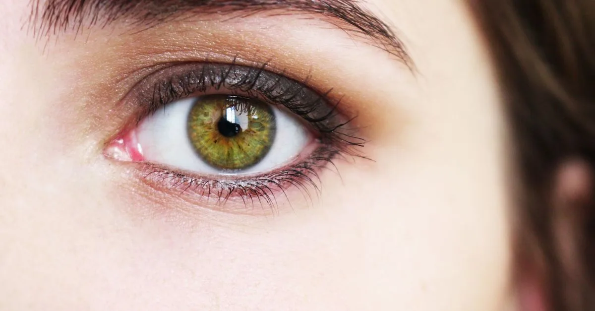 découvrez la beauté captivante des yeux noisette : une couleur unique mêlant nuances de brun et de vert pour un regard profond et chaleureux.
