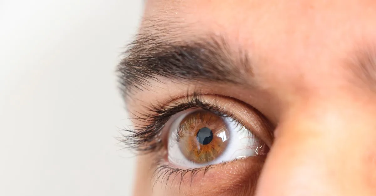 découvrez la beauté envoûtante des yeux noisette, leurs nuances uniques et leur signification fascinante.